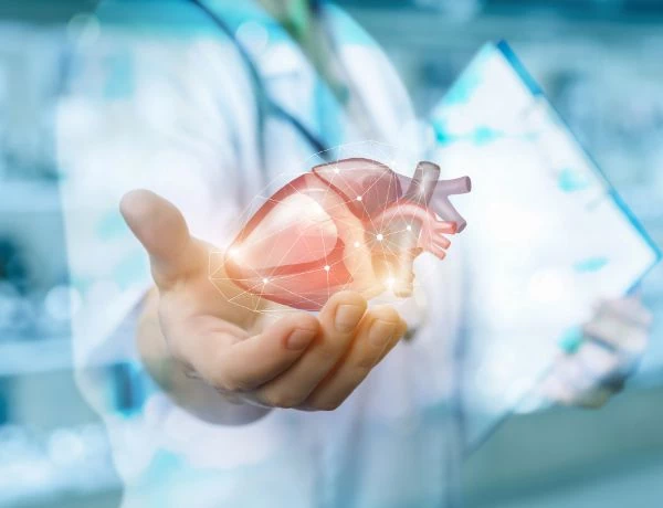 cyfrowy model serca nad dłonią lekarza