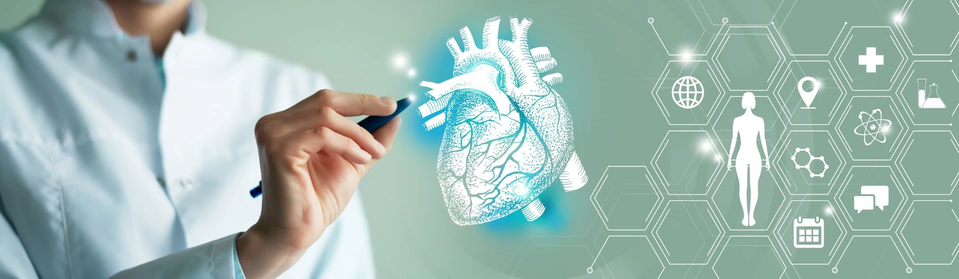 lekarz wskazujący elementy cyfrowego serca